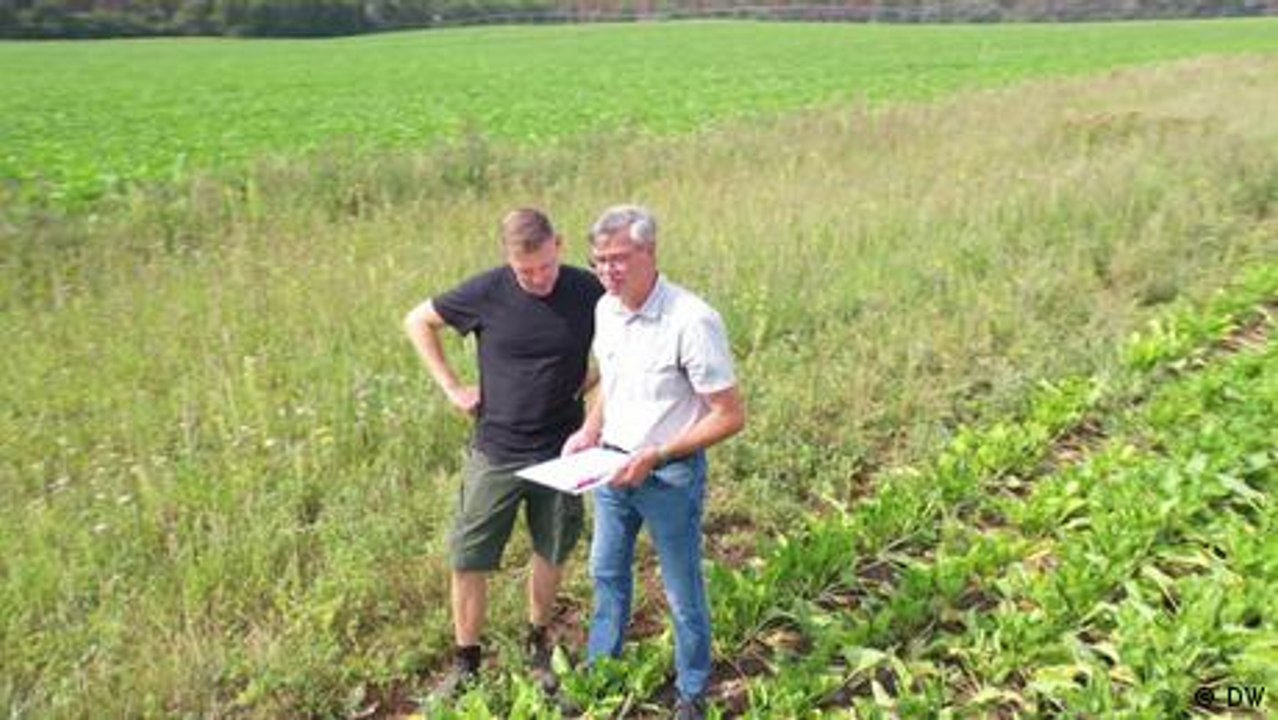 Kampf gegen Dürre: Neue Ideen bei Trockenheit