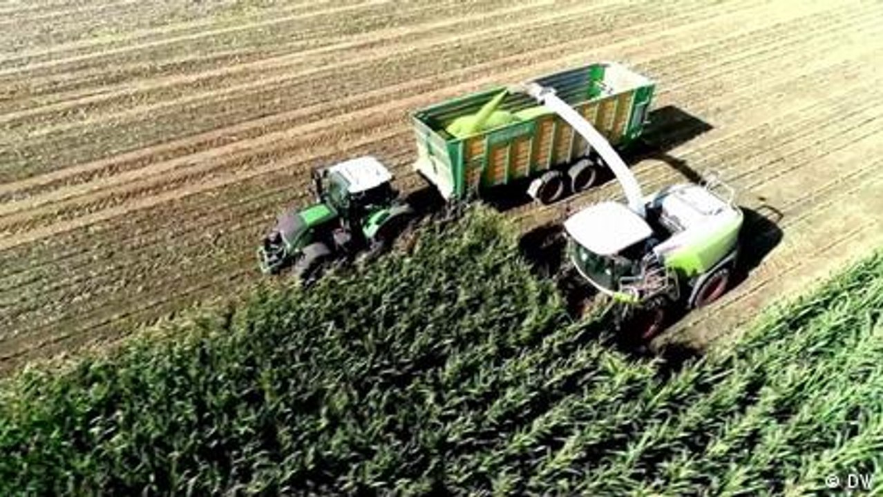 Proteste gegen Biosprit - wichtiger als Brot?