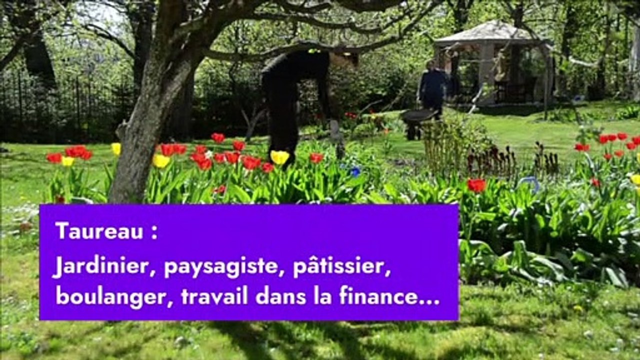 Quel est le métier fait pour toi selon ton signe astrologique ?