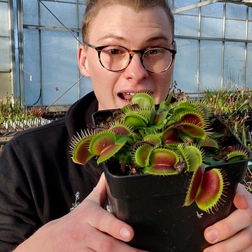 Enzo nous fait découvrir des plantes carnivores