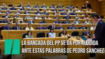 La bancada del PP se da por aludida ante estas palabras de Pedro Sánchez