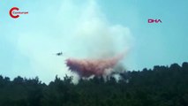 Düşen yıldırım yangına neden oldu: 2 hektar orman zarar gördü
