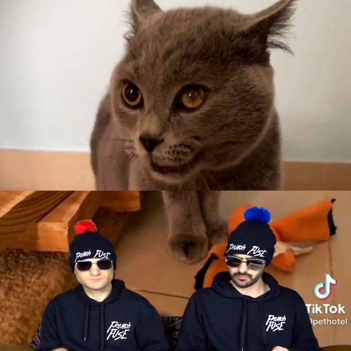 Le duo French Fuse enchaîne les reprises musicales surprenantes sur les réseaux sociaux