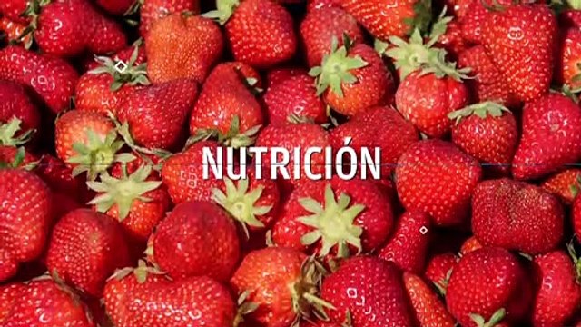 OKSALUD |Las migrañas empeoran con el estrés: cómo prevenir el dolor y conseguir que el cerebro descanse