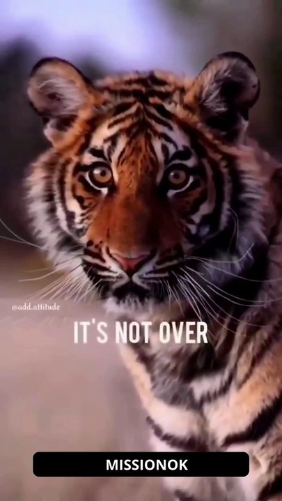 Sigma rule ~ Attitude status  | WhatsApp status | Attitude quotes