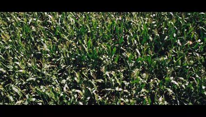 Buenas Noches Mamá (2014) - Trailer español