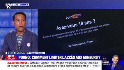 Gilles-Marie Valet, pédopsychiatre : le visionnage de films X par des mineurs leur "offre une représentation de l'adulte à laquelle ils ne sont pas encore préparés"