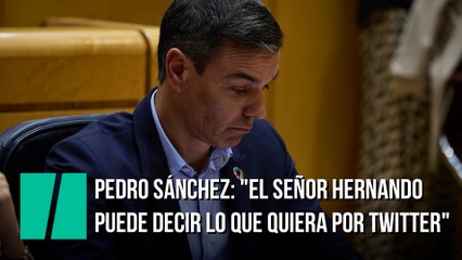 Pedro Sánchez: "El señor Hernando puede decir lo que quiera por Twitter"