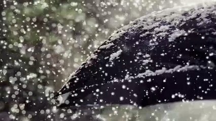 Raise Your Vibration, may your wishes come true - 963 Hz #chakra, #mantra,