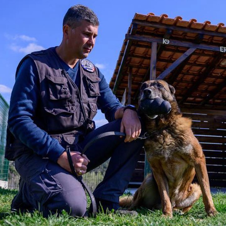 En Provence, la première maison de retraite française pour chiens policiers