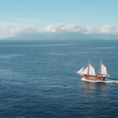 Le trésor de "La Buse", une des plus longues chasses au trésor de l'histoire