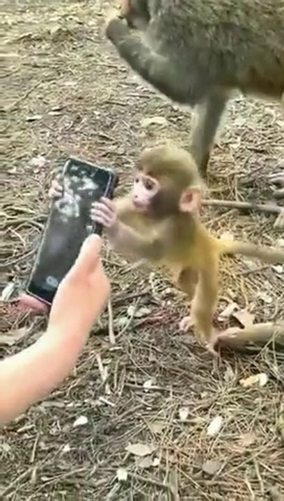 Un gadget pas connu