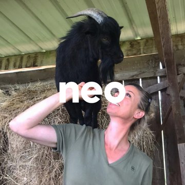 Ils ont créé un EHPAD pour animaux