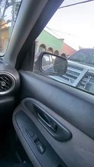 JAVIER ORLANDO BORDA ROMÁN