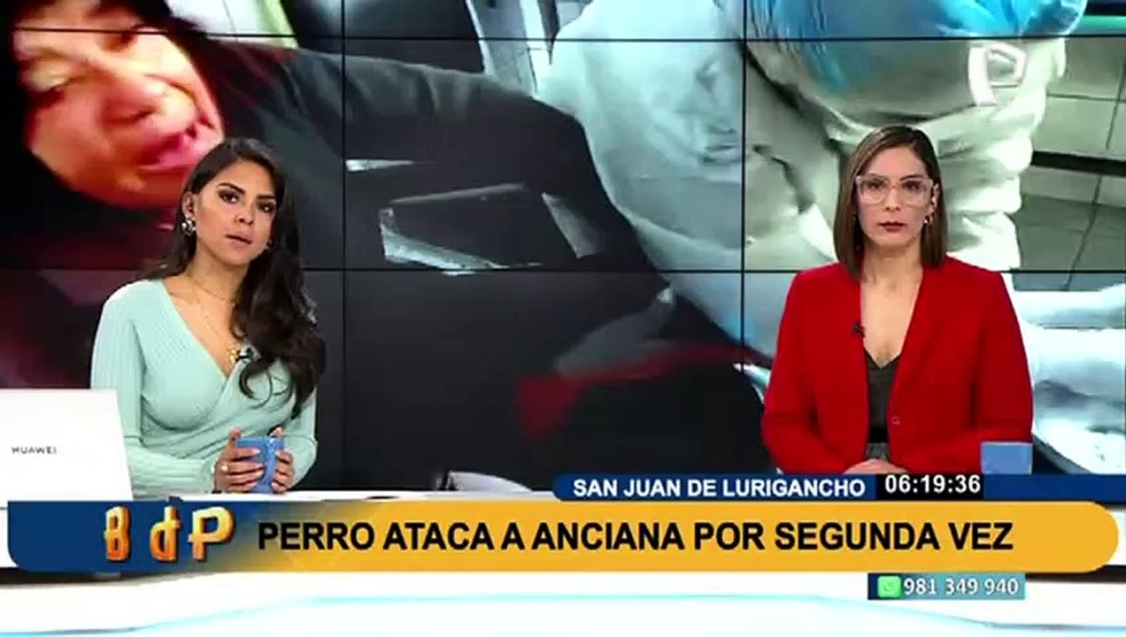 Dueño no se hace responsable: perro ataca a anciana por segunda vez en SJL