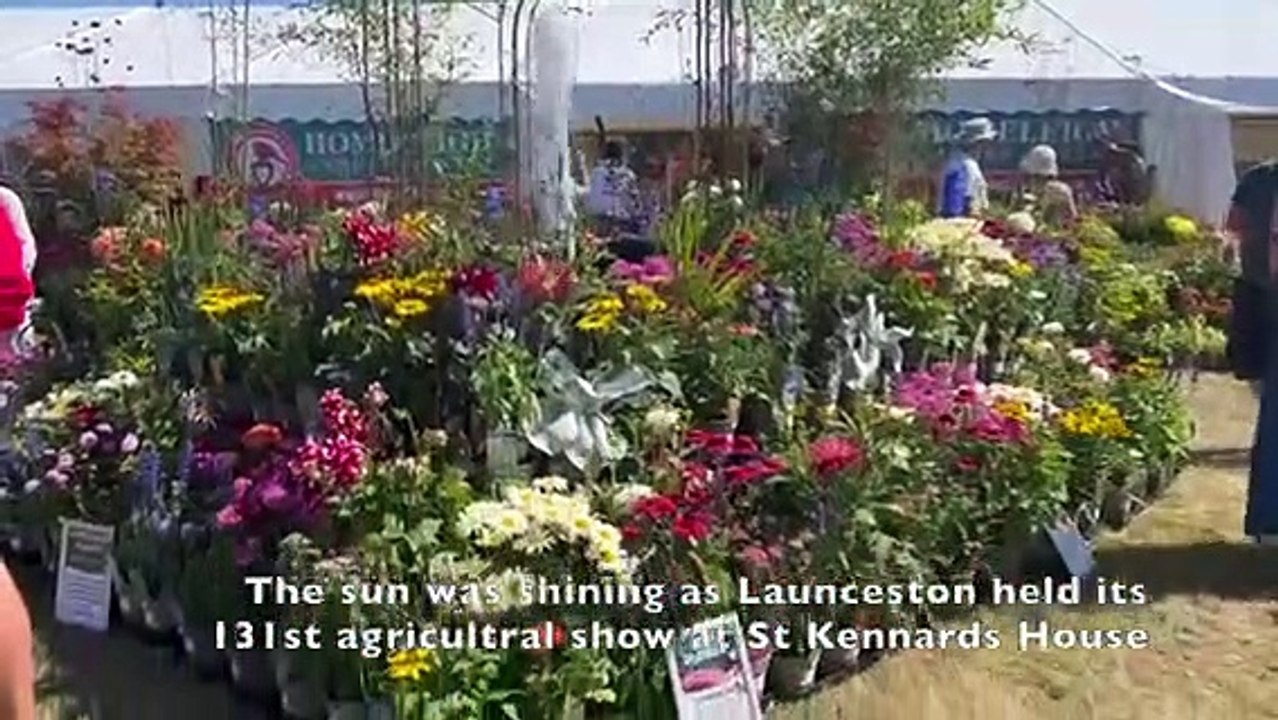 Launceston show
