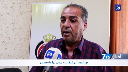 آفة النمل الأبيض آخذة بالارتفاع ومطالبات باعتبار معان "موبوءة"