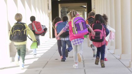 Los cuatro grandes cambios del nuevo curso escolar