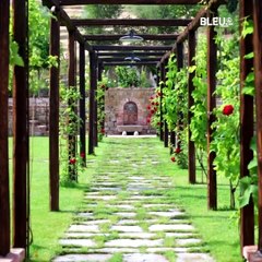 Recorridos Virtuales Por Viñedos