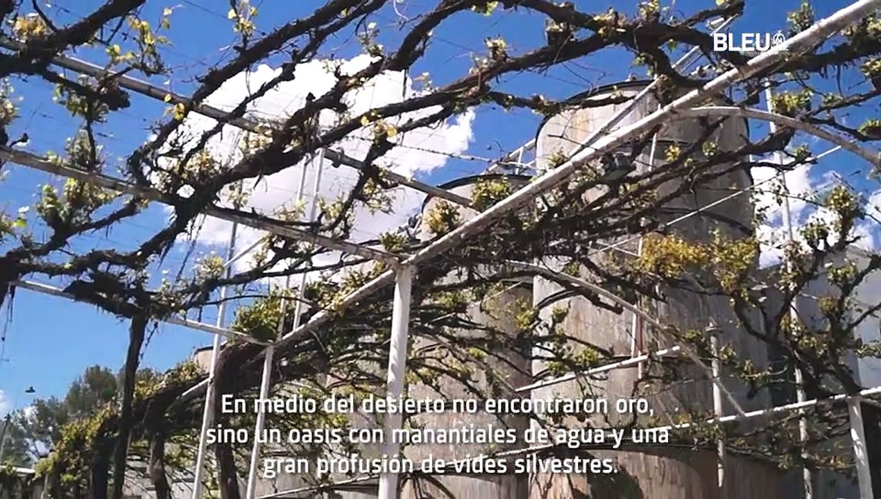 Vinicola Más Antigua
