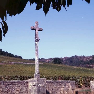 Vinos Más Caros del Mundo - Bleu&Blanc