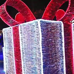 Experiencias de iluminación navideña en México - Bleu&Blanc