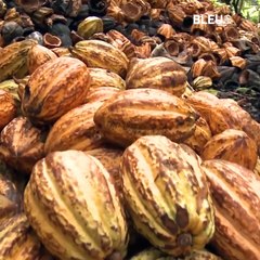 Denominación de Origen - Bleu&Blanc
