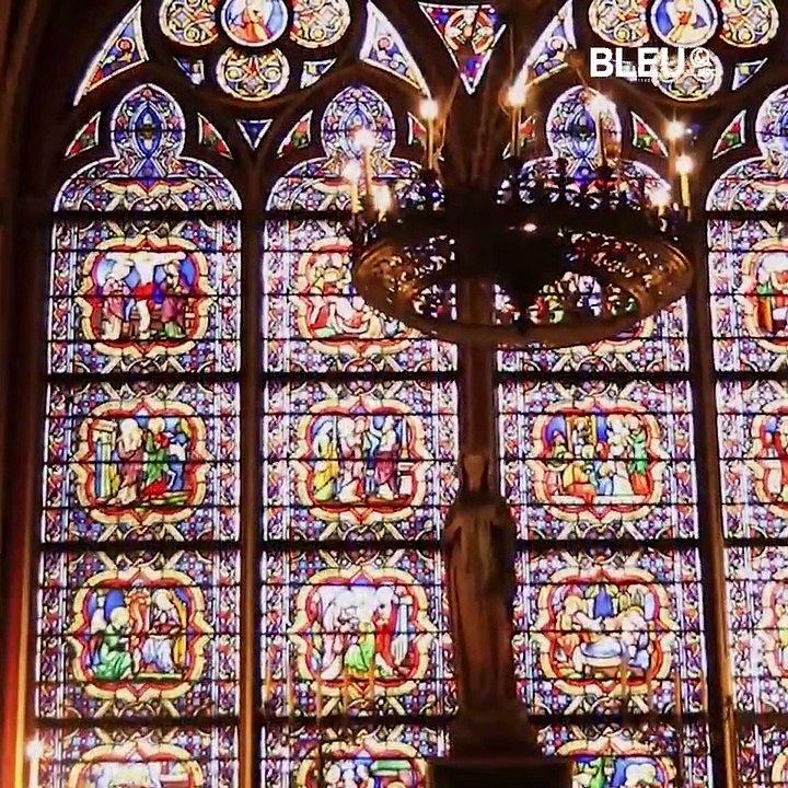 Catedral de Notre dame - Bleu&Blanc