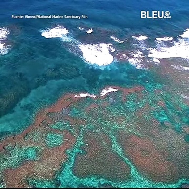 Reservas Naturales Protegidas - Bleu&Blanc