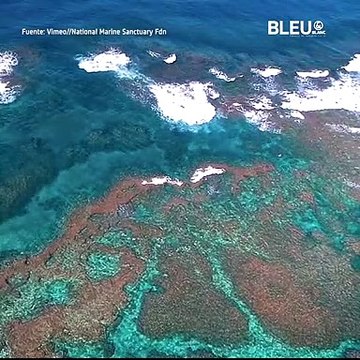 Reservas Naturales Protegidas - Bleu&Blanc