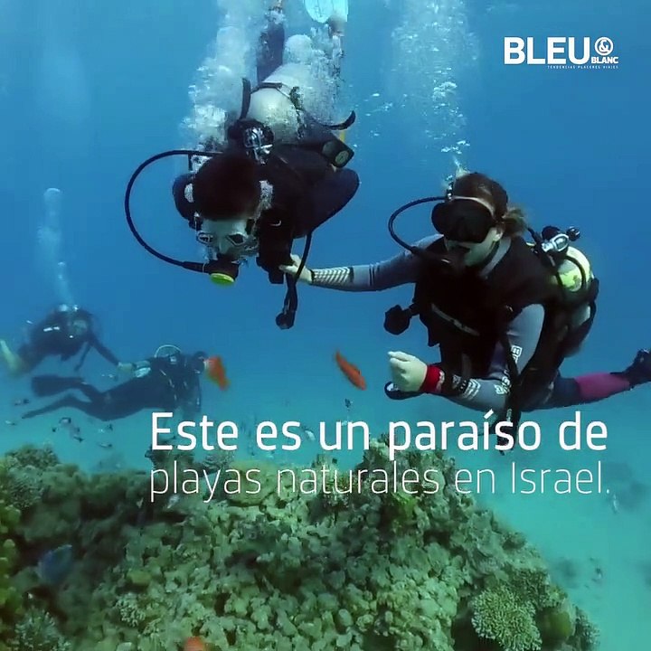 Eilat Israel - Bleu&Blanc