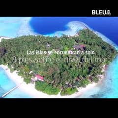 Destinos en peligro de extinción - Bleu&Blanc