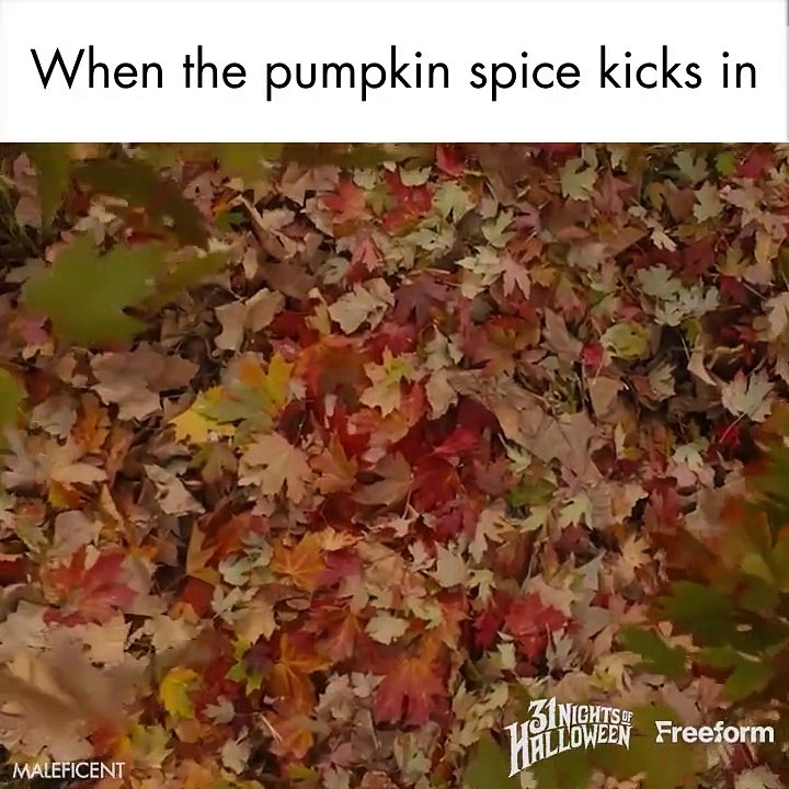 When the pumpkin spice kicks in