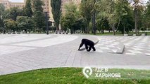 شاهد: شمبانزي هرب من حديقة الحيوانات في خاركيف الأوكرانية فكيف عاد ولقاء ماذا؟