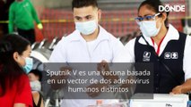 Todo sobre la vacuna Sputnik V: efectividad, efectos y más