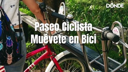 Guía para asistir al Paseo Dominical Muévete en Bici