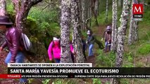 Santa María Yavesía, en Oaxaca promueve el ecoturismo en contra de la explotación ambiental