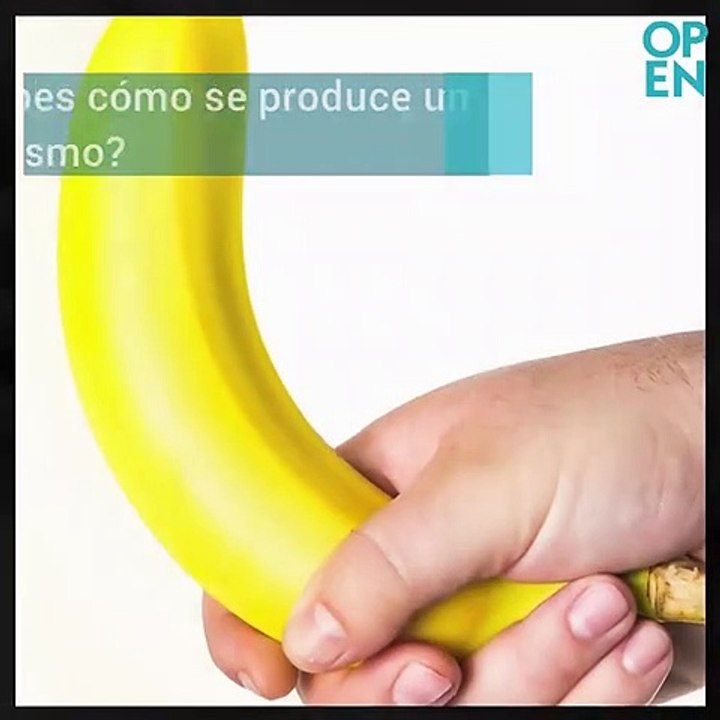 ¿Cómo se produce un orgasmo? Revista OPEN