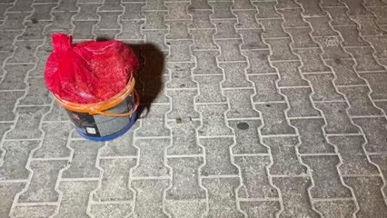 17 yaşındaki kızın kolu ve omzuna saçma isabet etti