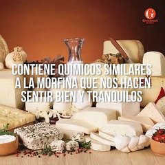 Tipos de quesos que todo Gourmet debe probar - Gourmet de México