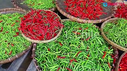 Conoce 5 Alimentos muy Mexicanos - Diabetes Juntos x Ti