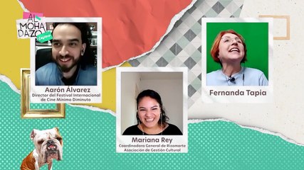 Entrevista sobre el Festival Internacional de Cine Mínimo Diminuto - Almohadazo Casero
