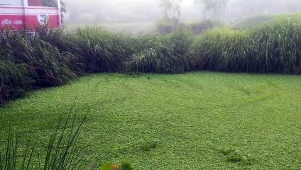 my first vlog | #myfirstvlog | #mdabdullahalmahmud0