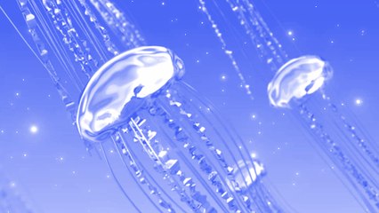 Ship Wrek - Over & Over