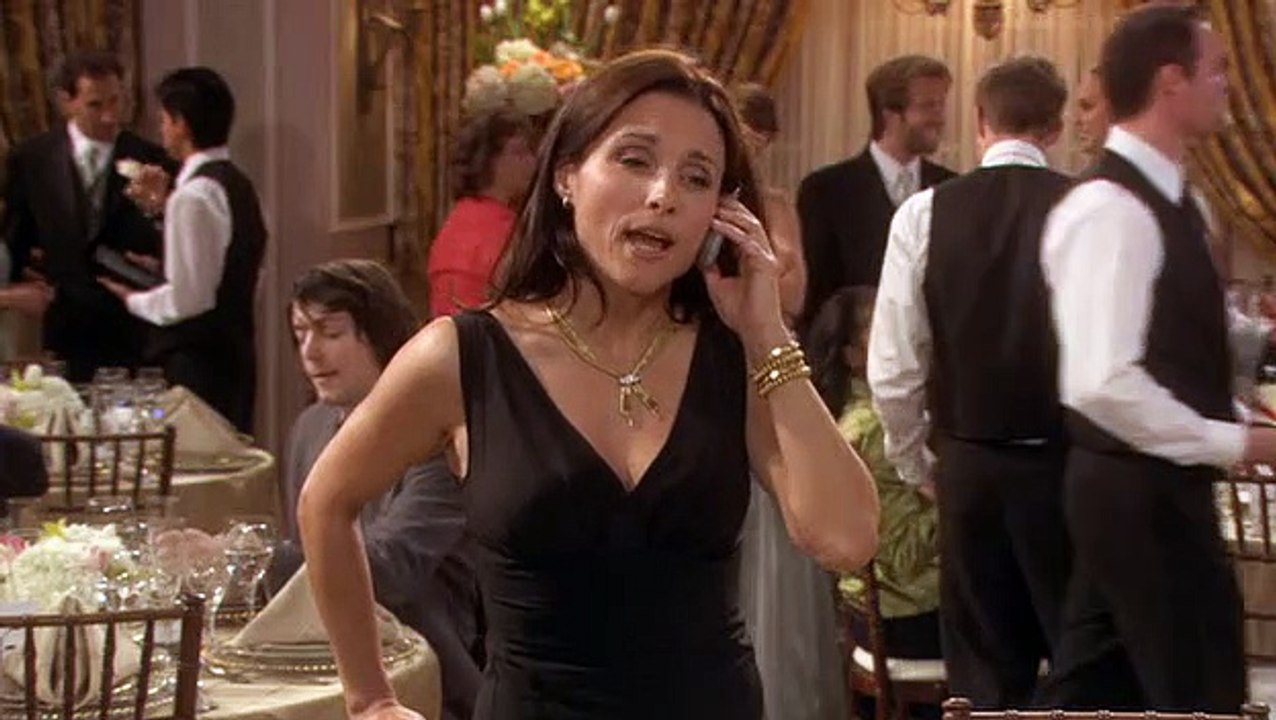 The New Adventures of Old Christine Staffel 2 Folge 20 HD Deutsch