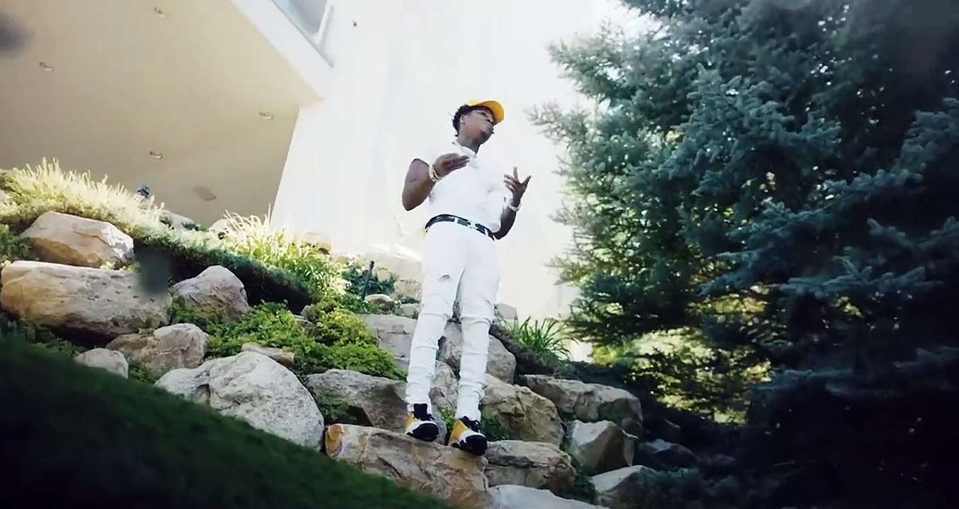 NBA YoungBoy Purge Me Video Dailymotion