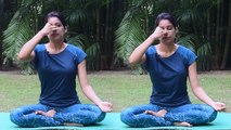 How to Do Anulom-Vilom Pranayama | अनुलोम विलोम प्राणायाम करने का सही तरीका | Boldsky *Yoga
