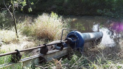 Maloa, Biloela - September 6 - Queensland Country Life