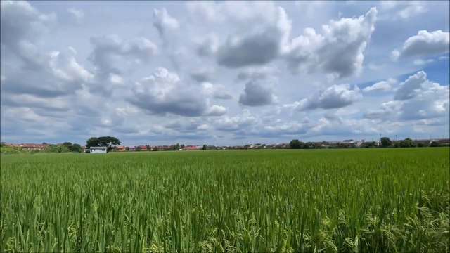 Time Lapse clouds at rice field in Sai Noi Nonthaburi Province Thailand