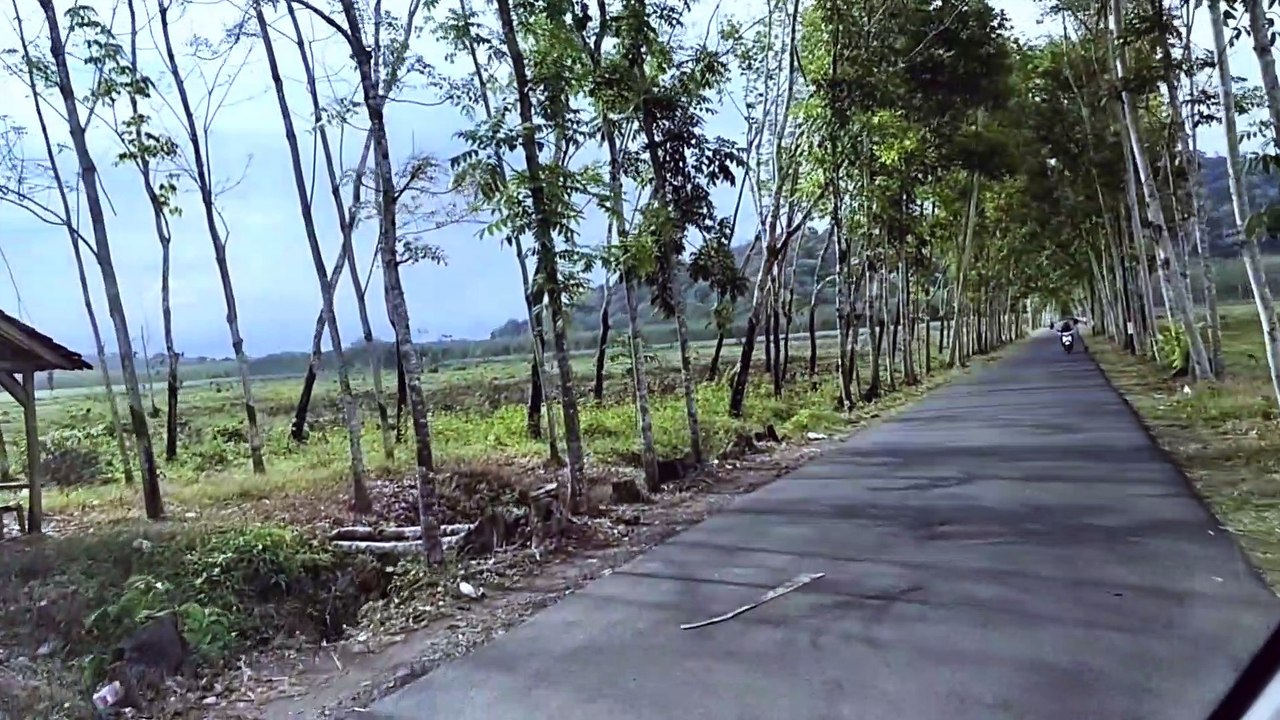 Explore Jember Selatan  kondisi Perjalanan Curah Takir
